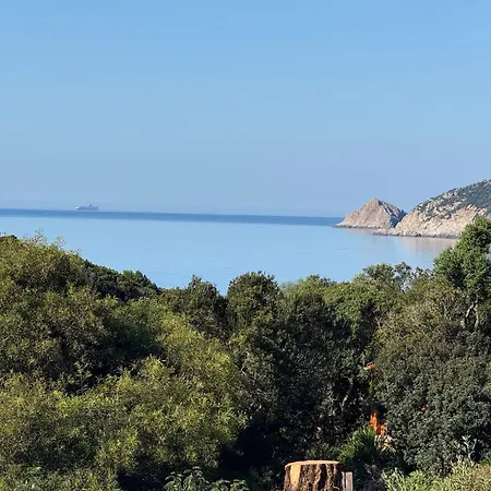 Les Oulivastres Lejlighed Hyères